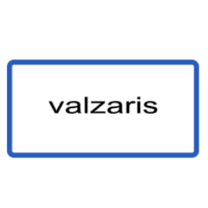 Logo du groupe Valzaris