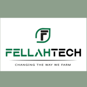 Logo du groupe FELLAH TECH