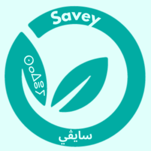 Logo du groupe SAVEY.MA